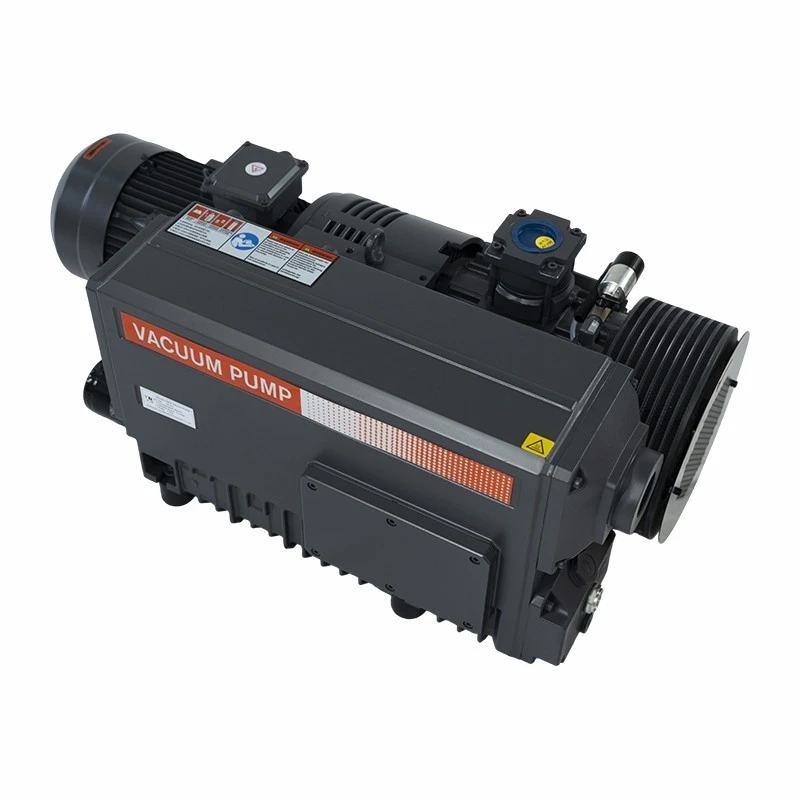 Oil Sealed Rotary High Vacuum Pumps best